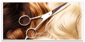Service we Offer